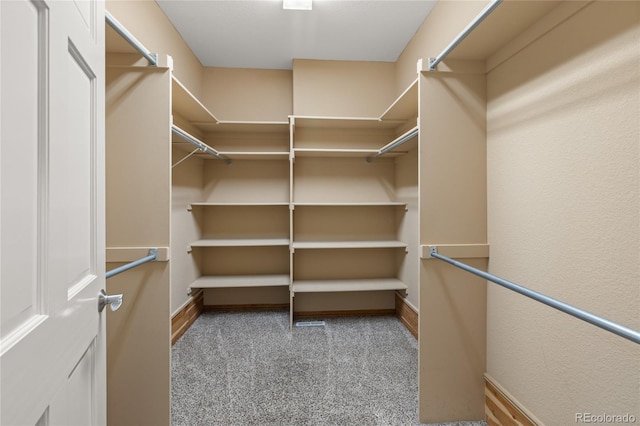 6405 Eagle Feather Trl, Littleton, CO 80125 - walk in closet featuring carpet floors