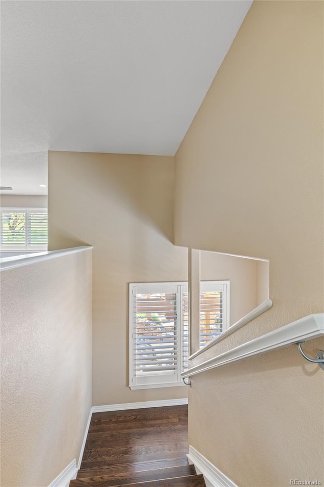 6405 Eagle Feather Trl, Littleton, CO 80125 - stairway with baseboards and wood finished floors