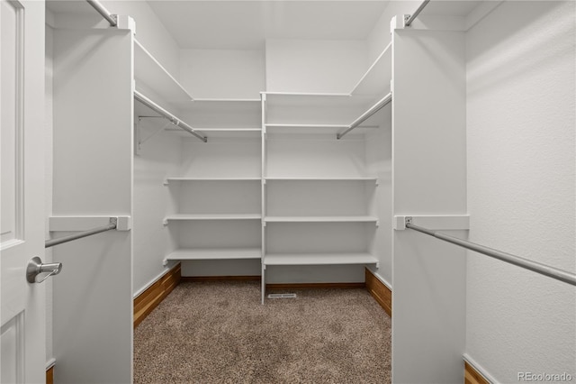 6405 Eagle Feather Trl, Littleton, CO 80125 - spacious closet featuring carpet flooring