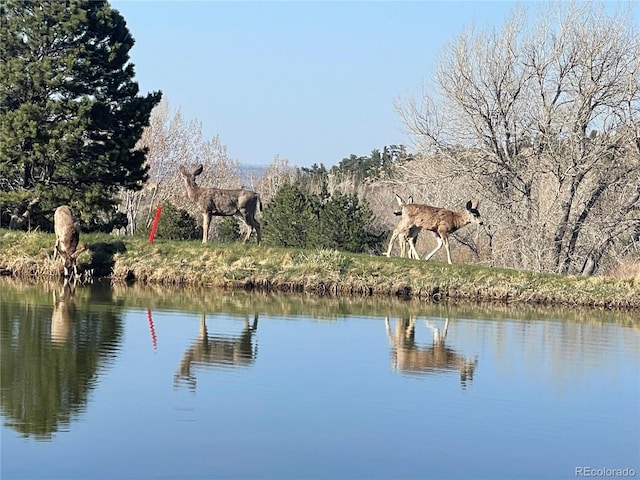 6405 Eagle Feather Trl, Littleton, CO 80125 - water view