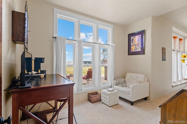 11881 County Road 37, Fort Lupton, CO 80621 - office area with carpet floors