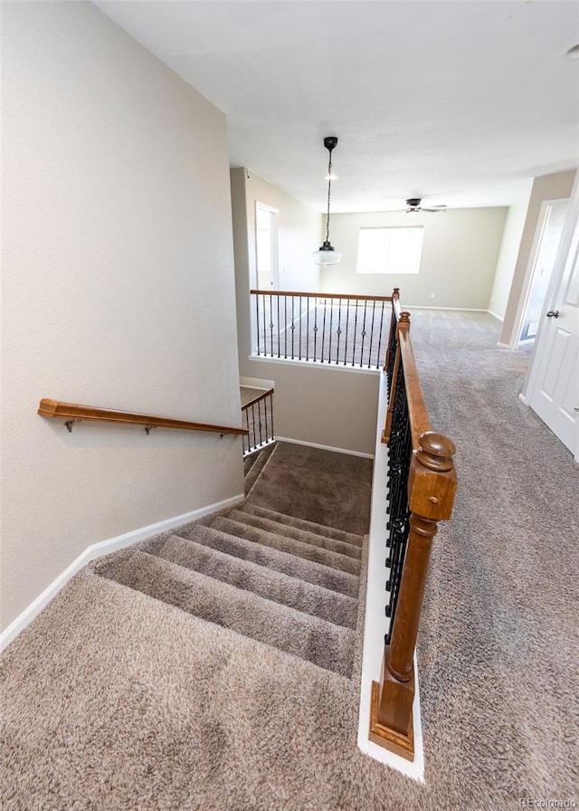 stairs featuring carpet