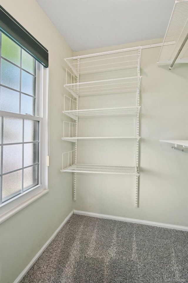 9306 Garrison Dr, Broomfield, CO 80021 - spacious closet with carpet flooring