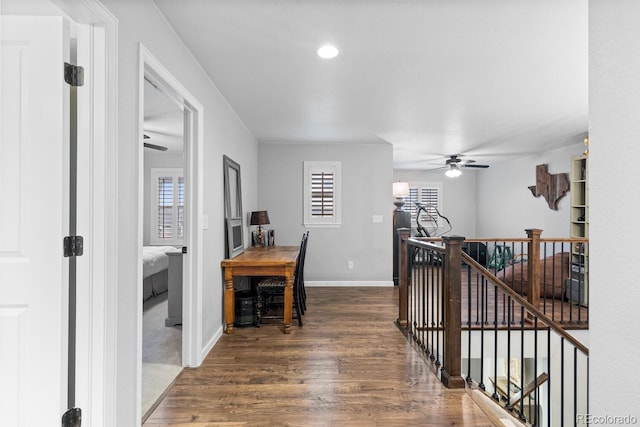 corridor featuring plenty of natural light and dark hardwood / wood-style flooring