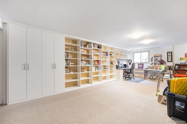4541 W Ponds Cir, Littleton, CO 80123 - playroom featuring a desk and carpet floors