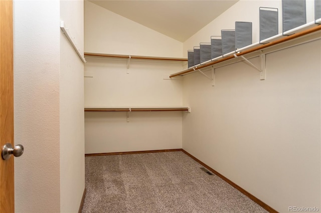 spacious closet featuring carpet flooring and vaulted ceiling