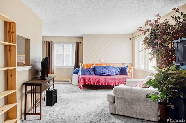 8100 W Quincy Ave Unit K3, Littleton, CO 80123 - living area with carpet flooring, a textured ceiling, and a baseboard radiator