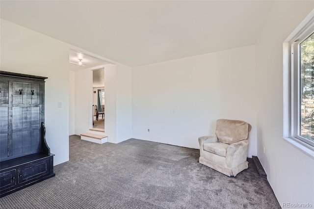 unfurnished room featuring carpet floors and a healthy amount of sunlight