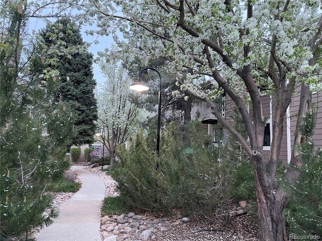 4400 S Quebec St Unit 104R, Denver, CO 80237 - photo 2