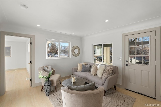 living room featuring light hardwood / wood-style flooring