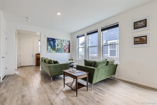 living room featuring light hardwood / wood-style flooring