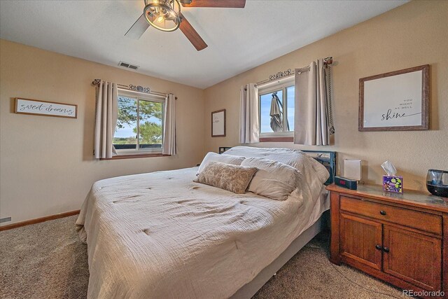 3163 Windstream Ln, Elizabeth, CO 80107 - photo 13