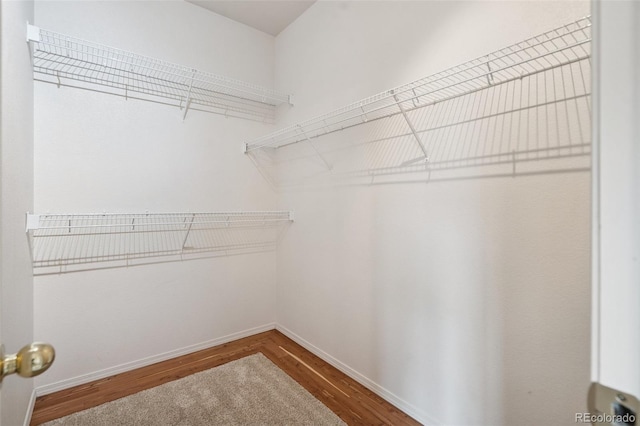 7042 Sand Crest Vw, Colorado Springs, CO 80923 - photo 24