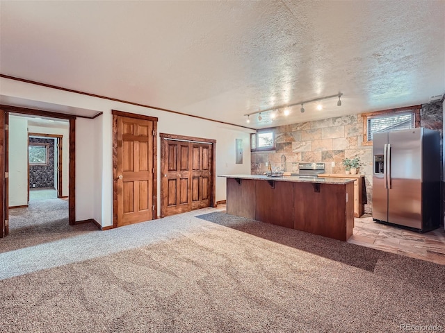 kitchen featuring light colored carpet, stainless steel appliances, a textured ceiling, and a wealth of natural light