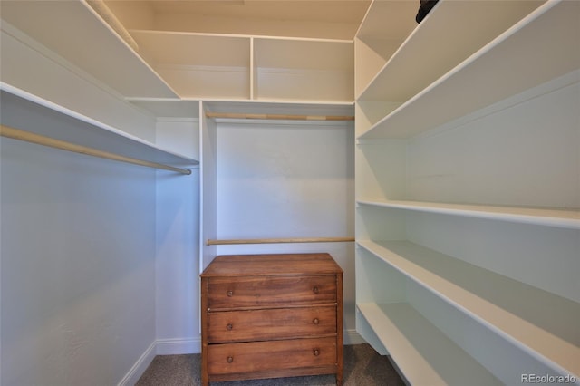spacious closet with dark colored carpet