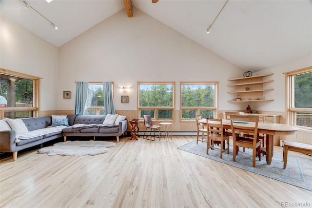 1002 County Road 99, Black Hawk, CO 80422 - living room featuring rail lighting, high vaulted ceiling, wood finished floors, a baseboard heating unit, and beam ceiling