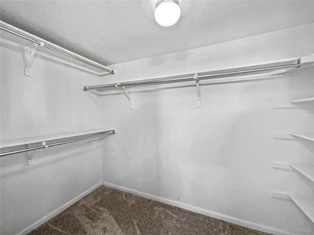 6850 Xavier Cir Unit 12, Westminster, CO 80030 - walk in closet with carpet floors