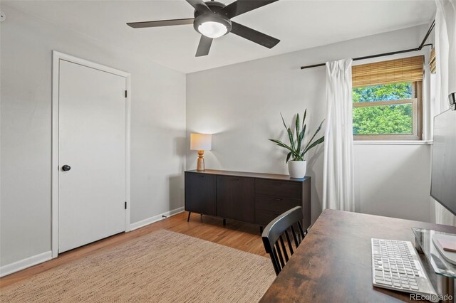 12017 W 58th Pl, Arvada, CO 80004 - photo 19