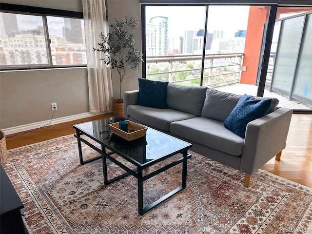 living room featuring wood-type flooring and a wealth of natural light