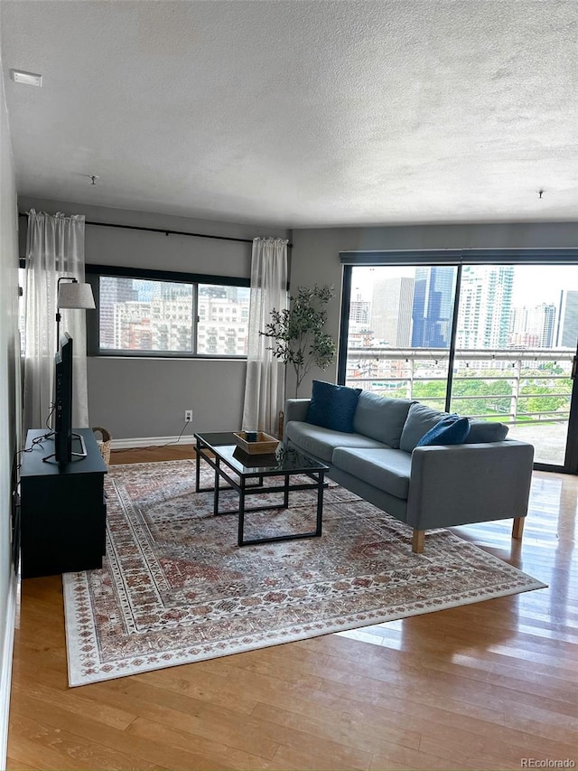 living room with a textured ceiling and light hardwood / wood-style flooring