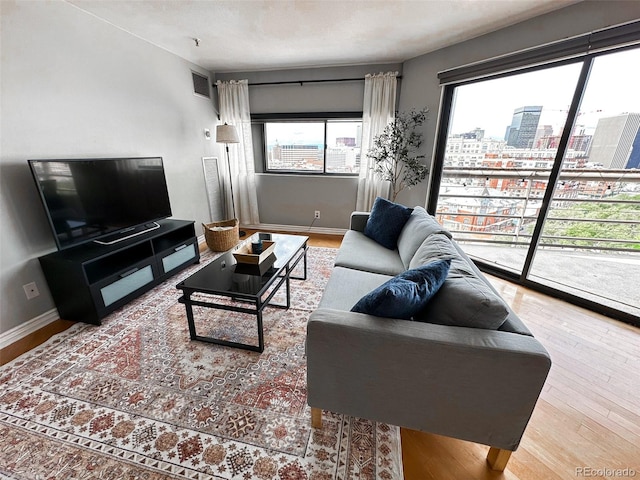 living room with hardwood / wood-style flooring