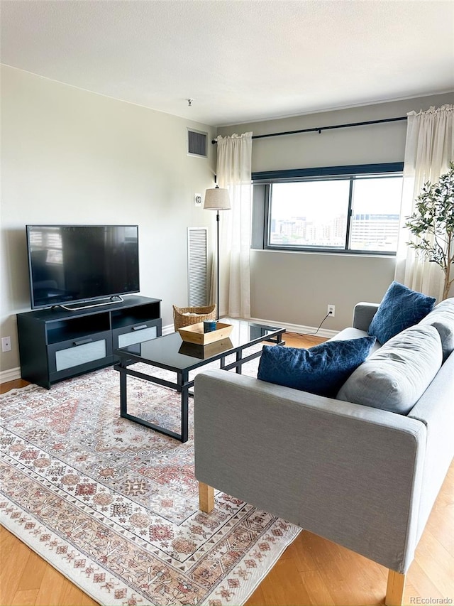 living room featuring hardwood / wood-style flooring