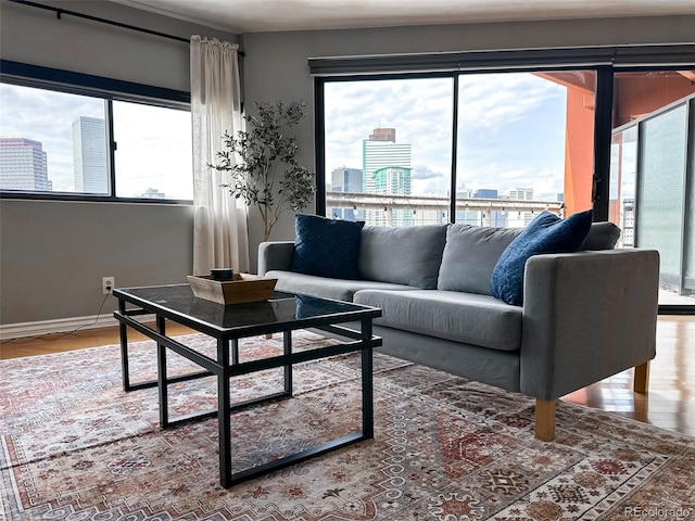 living room with wood-type flooring