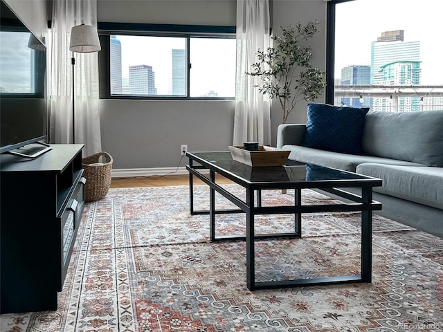 living room with hardwood / wood-style floors