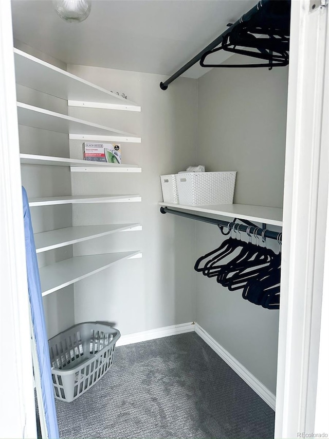 walk in closet with carpet floors