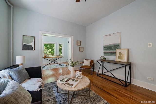 living room featuring ceiling fan and wood-type flooring