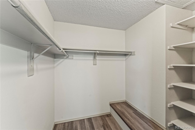 1344 Firefly Cir, Colorado Springs, CO 80916 - spacious closet with wood finished floors