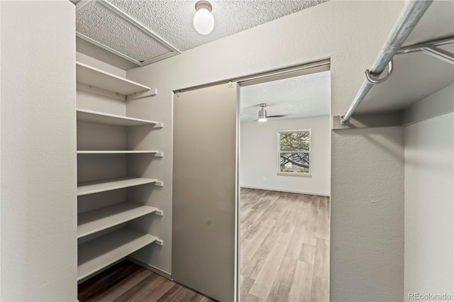 1344 Firefly Cir, Colorado Springs, CO 80916 - walk in closet featuring wood finished floors
