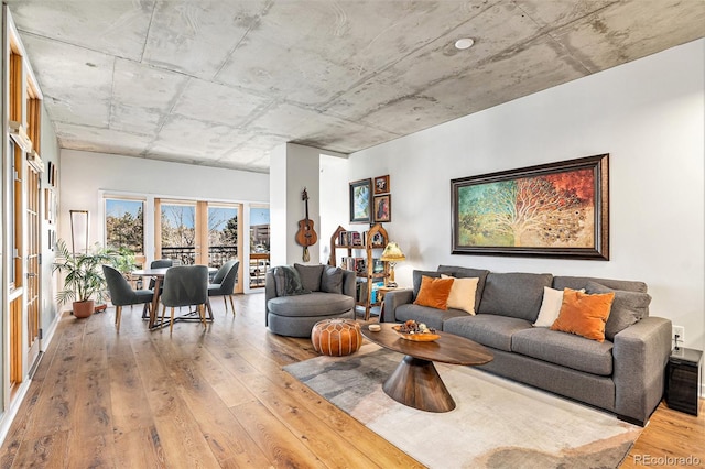 living room with hardwood / wood-style flooring