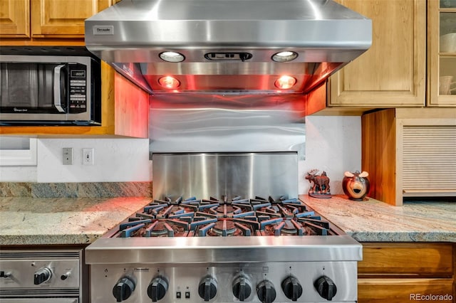 kitchen featuring ventilation hood, appliances with stainless steel finishes, and light stone counters