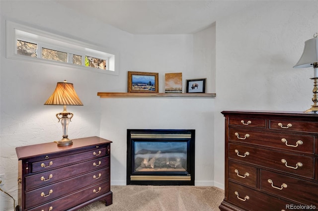 room details featuring carpet flooring