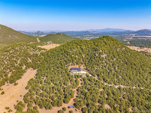 birds eye view of property with a mountain view