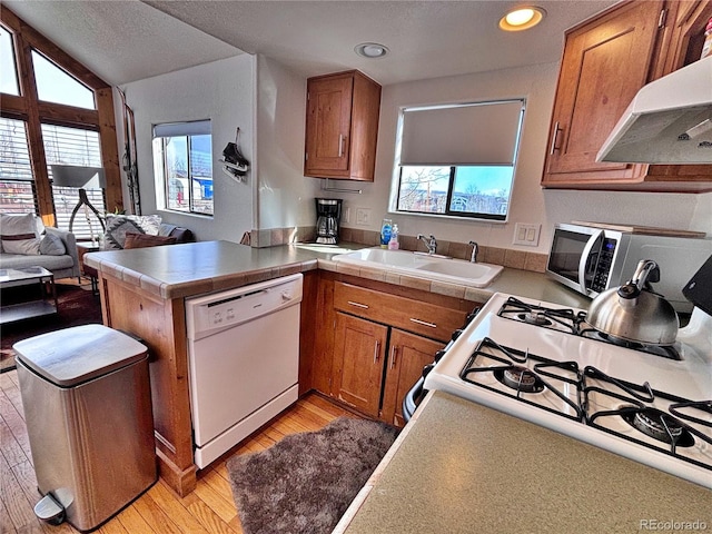 kitchen featuring sink, a healthy amount of sunlight, white appliances, and light wood-type flooring