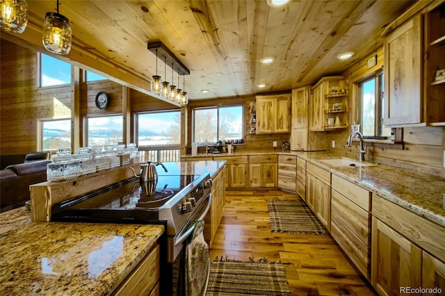 kitchen with light wood-type flooring, wooden walls, sink, pendant lighting, and high end stainless steel range