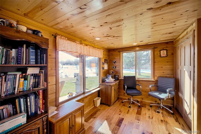 sitting room featuring a healthy amount of sunlight, wooden walls, and light hardwood / wood-style flooring