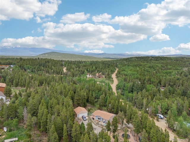81 Atlantis Dr, Black Hawk, CO 80422 - photo 30