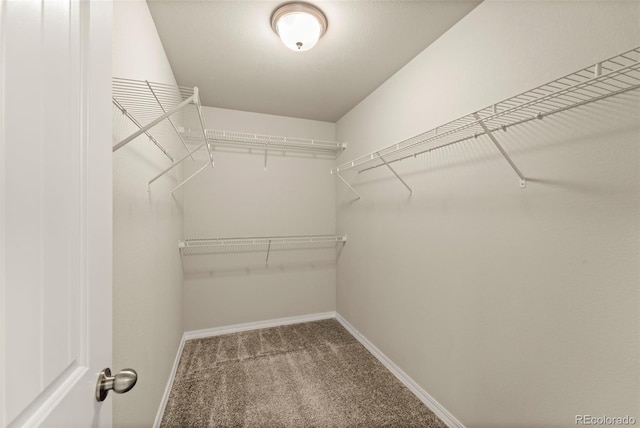 7721 Berwyn Loop, Peyton, CO 80831 - photo 29