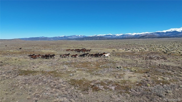 444 County Road L, San Luis, CO 81152 - photo 19