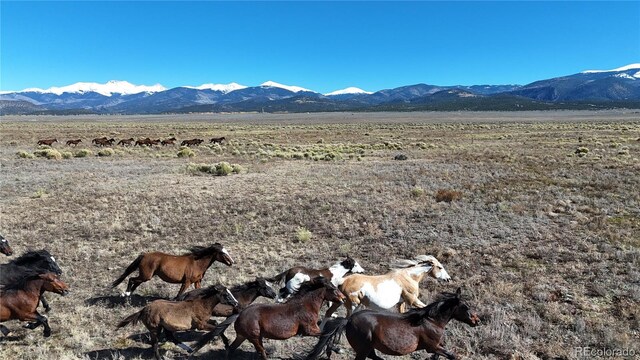 444 County Road L, San Luis, CO 81152 - photo 29
