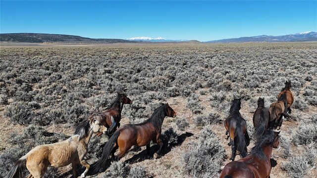 444 County Road L, San Luis, CO 81152 - photo 30