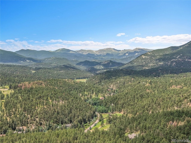 4011 S Skyline Dr, Evergreen, CO 80439 - photo 37