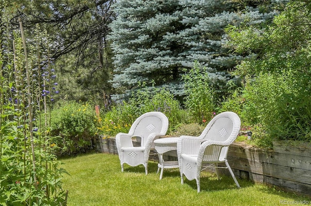 4011 S Skyline Dr, Evergreen, CO 80439 - photo 40