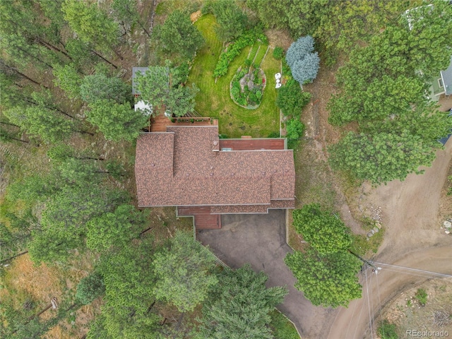 4011 S Skyline Dr, Evergreen, CO 80439 - photo 46
