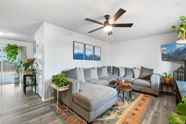 living room with hardwood / wood-style floors, ceiling fan, and a textured ceiling