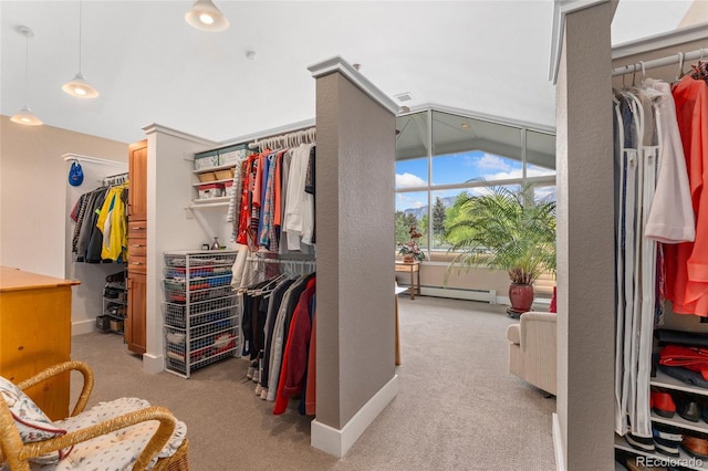 831 Crescent Dr, Boulder, CO 80303 - spacious closet featuring light colored carpet and baseboard heating