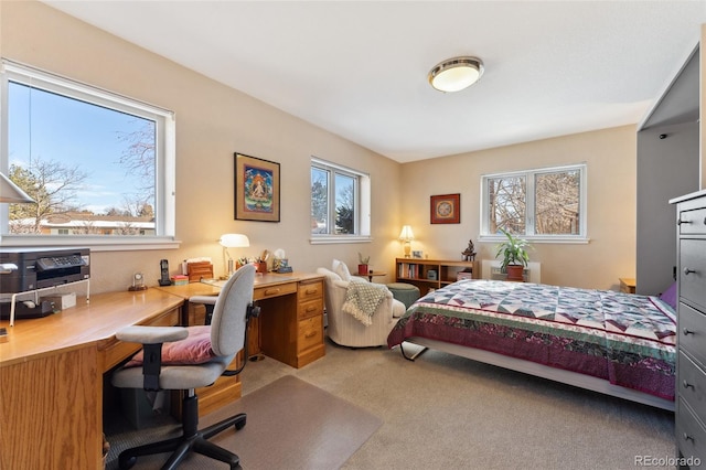 831 Crescent Dr, Boulder, CO 80303 - bedroom with multiple windows, a desk, and light colored carpet